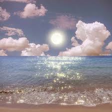 Ảnh đại diện người dùng Ngọc Mai